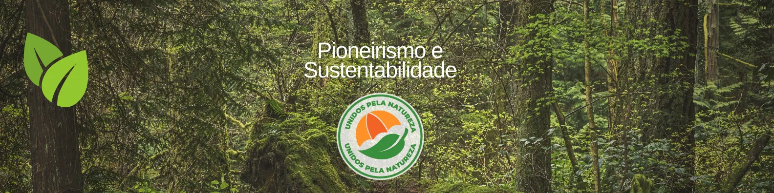 Segfy e Abundance: Sustentabilidade no Mercado de Seguro